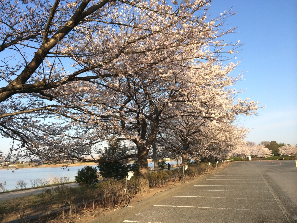 痛みを根本から改善へ導きます。の写真