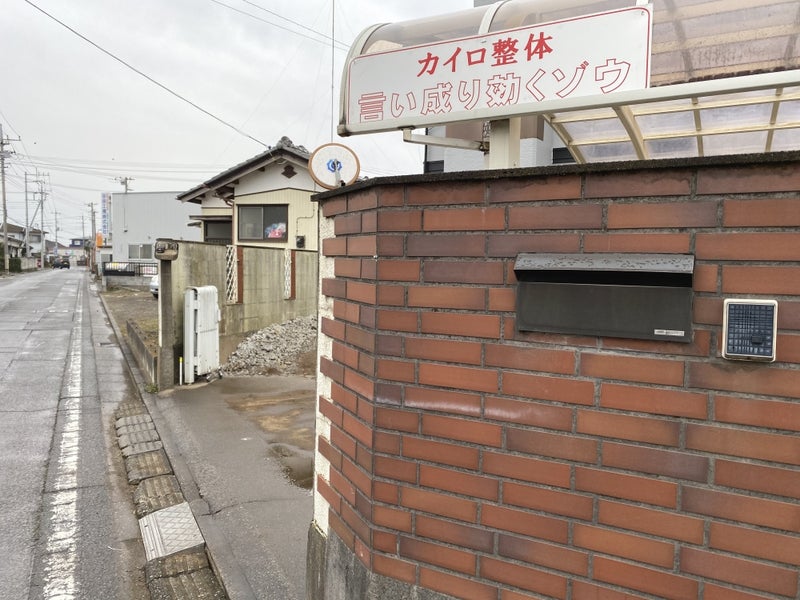 カイロ整体言い成り効くゾウの画像